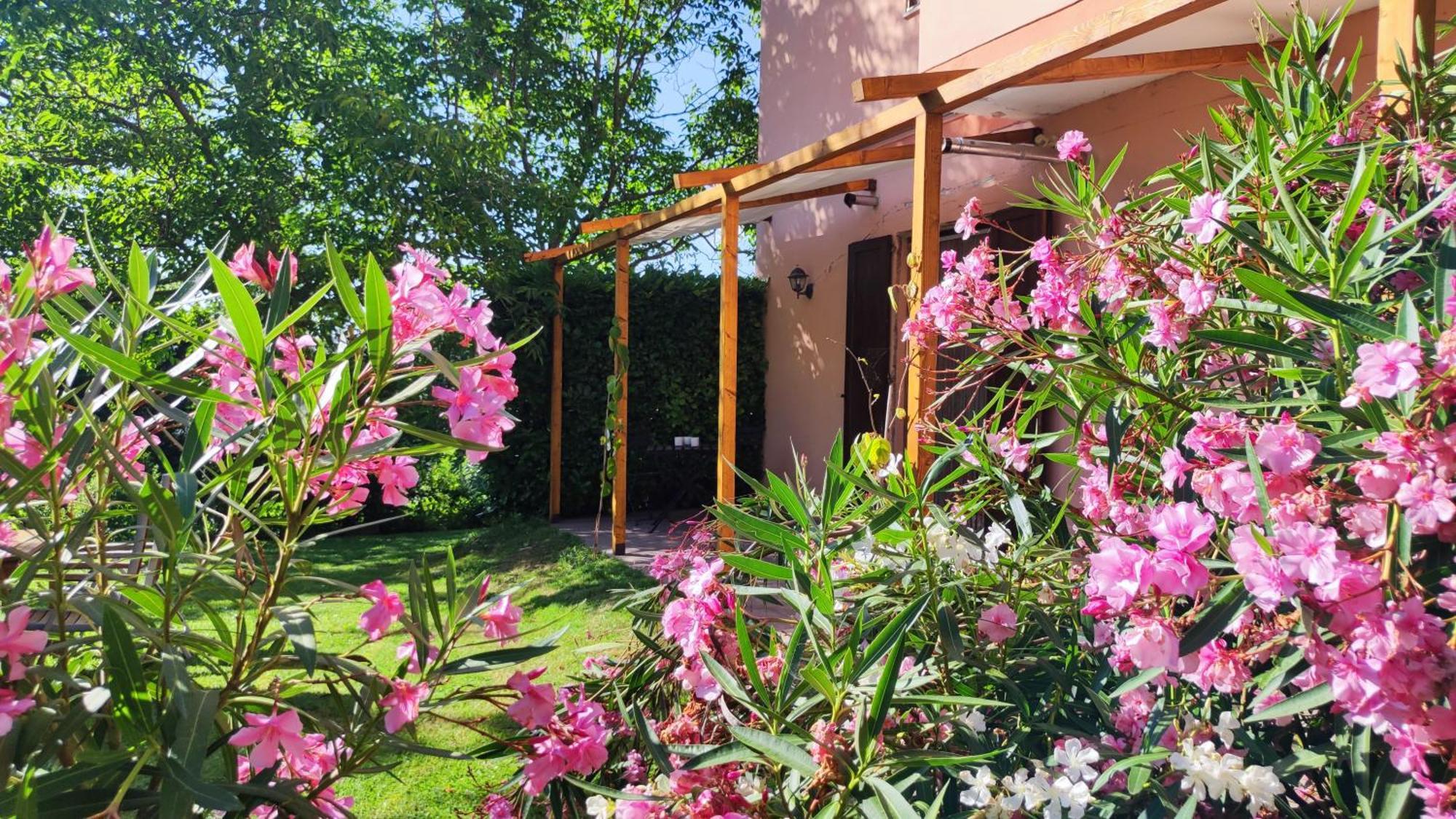 Camping Le Marche Apartments Gualdo di Macerata Экстерьер фото